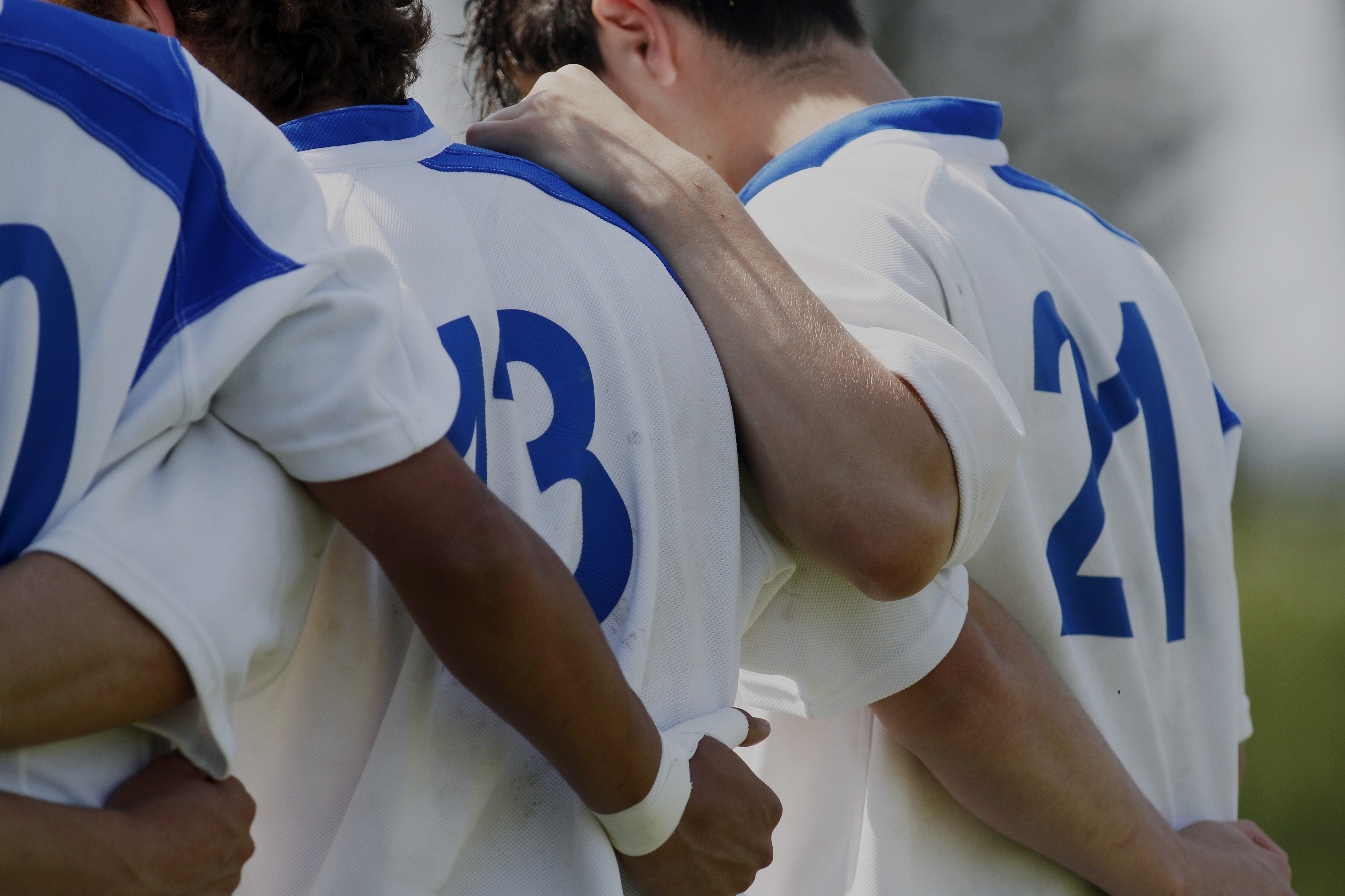 Fotolia_41942511_XL_TEST